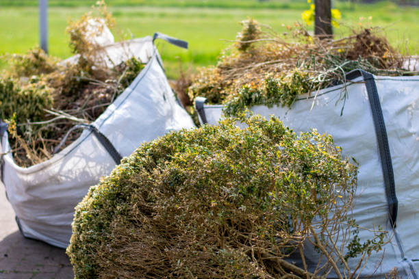 Full-Service Junk Removal in Excelsior Springs, MO